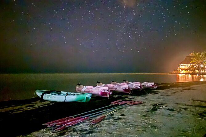 Holbox Kayak Bioluminescence Experience - Key Points