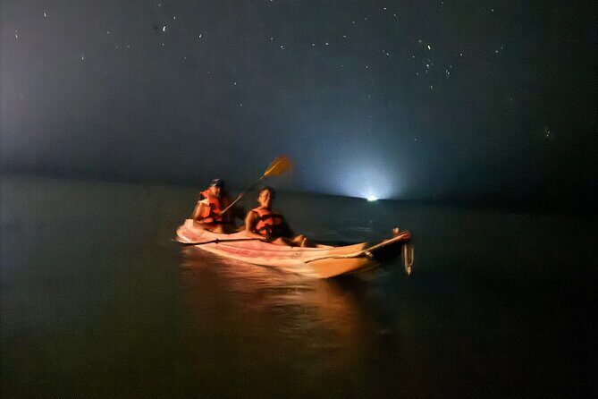 Holbox Kayak Bioluminescence Experience - Why This Tour Offers Good Value