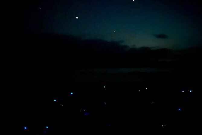 Holbox Kayak Bioluminescence Experience - Final Thoughts