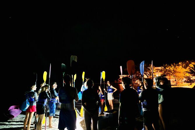 Holbox Kayak Bioluminescence Experience - FAQ