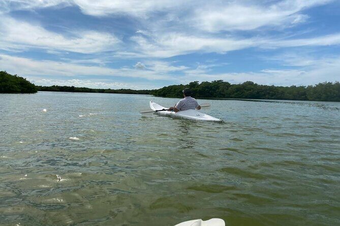 Holbox : Kayaking through Mangroves - Why This Tour Is Worth Considering