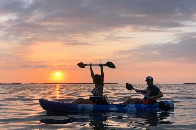 Holbox : Kayaking through Mangroves - Who Should Book This Tour