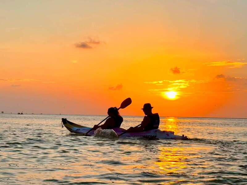 Holbox: Mangrove Sunset Kayak Tour - An In-Depth Look at the Tour Experience