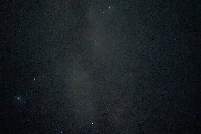 Holbox : Night Kayak and Bioluminescence Experience - An Overview of the Experience