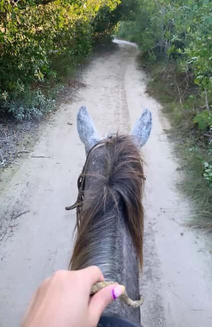 Holbox: Private Horseback Riding - The Landscape and Atmosphere