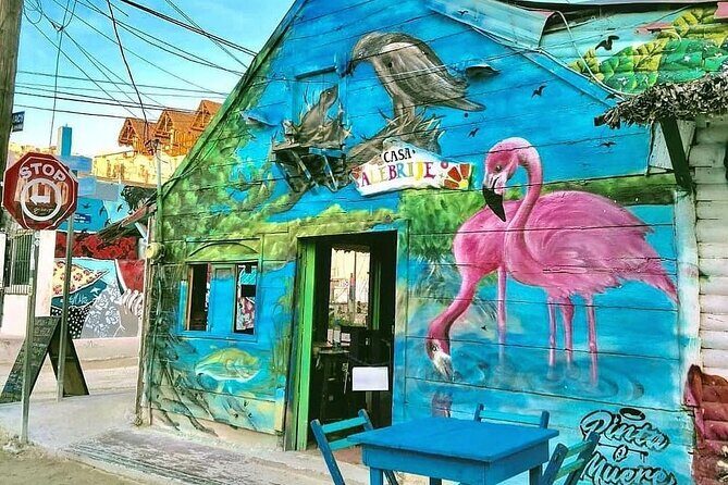 Holbox Punta Mosquitos + Transportation from Riviera Maya - The Practicalities