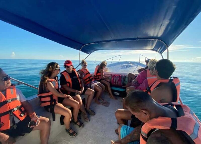 Holbox: Search and swim tour with the world's biggest fish. - The Itinerary in Detail