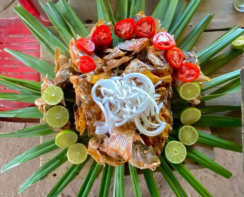 Holbox: Snorkeling, Fishing, and Ceviche Tour - Key Points