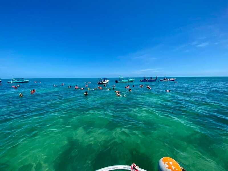Holbox: Snorkeling, Fishing, and Ceviche Tour - Who Will Enjoy This Tour?