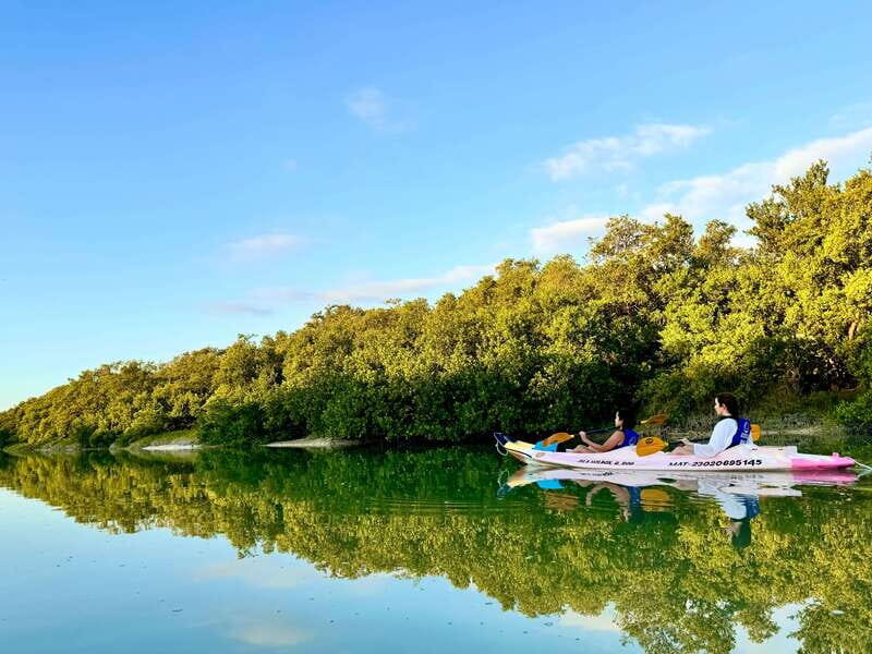 Holbox: Sunrise & Mangrove Kayak Tour - Practical Aspects: What You Need to Know