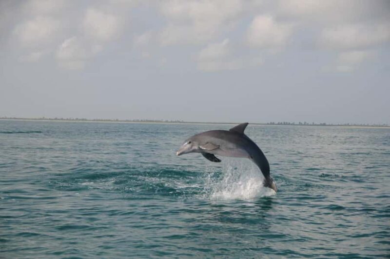 Holbox: Three Islands Tour - Who Will Love This Tour?