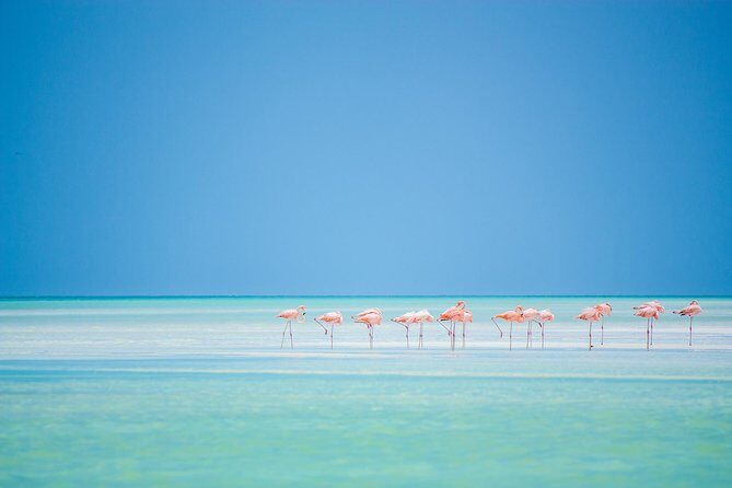 Holbox tour from Cancun and Riviera Maya - FAQs