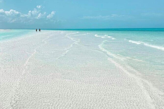 Holbox Tour - Island & Cenote from Cancun and Playa del Carmen - Authentic Experiences and Practical Insights