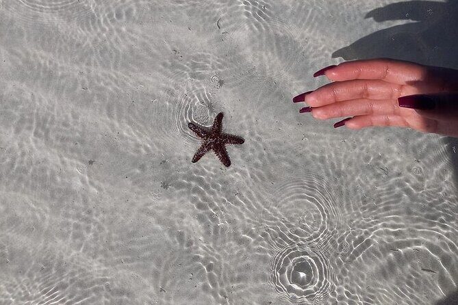 Holbox Tour Punta Mosquito from Cancun - Practical Tips for a Smooth Day