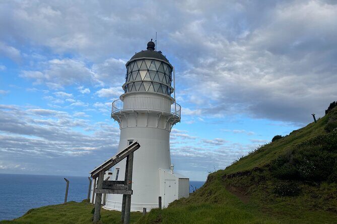 Hole in the Rock Cruise & Island Stopover (Half Day) - Practical Considerations: Duration, Price, and Suitability