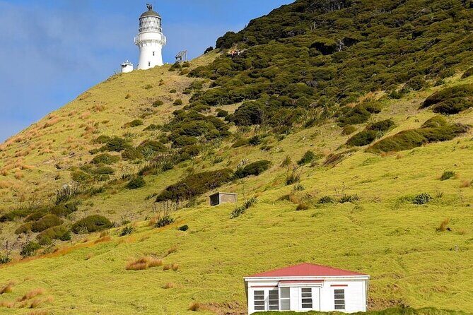 Hole in the Rock Cruise & Island Stopover (Half Day) - The Sum Up