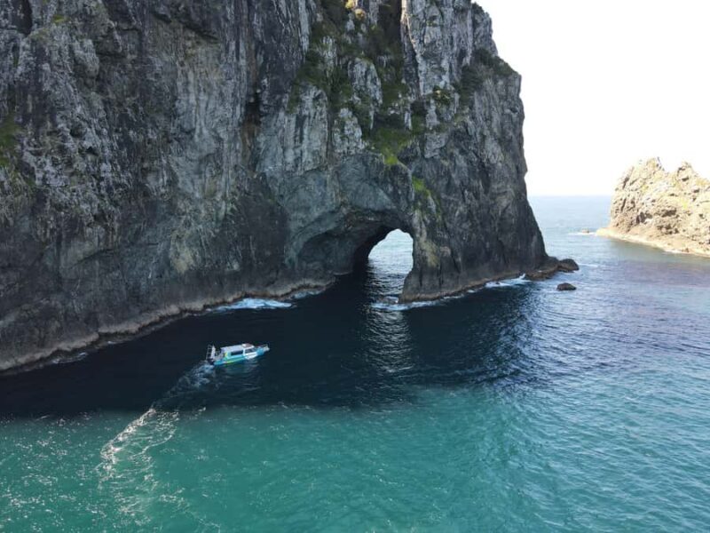 Hole in the Rock Tour & Bay of Islands Cruise - An In-Depth Look at the Experience