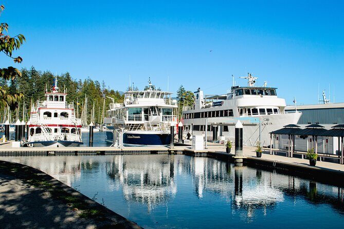 Holiday Festive Dinner and Dance Cruise Tour in Vancouver - Who Will Love This Tour?