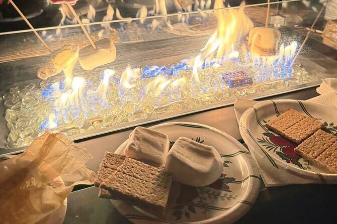 Holiday Light Cruise Plus S'mores Fire Pit Experience - An In-Depth Look at the Experience
