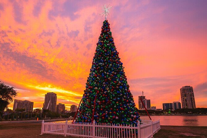 Holiday Lights Golf Cart Ride in Downtown St. Petersburg - Who Should Book This Tour?