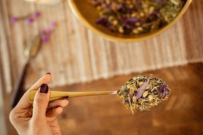 Holistic Ayurveda & Naturopathy Workshop - The Atmosphere and Experience