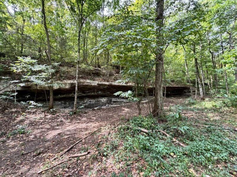 Hollister: 4-Seater CanAm UTV Off-Road Rental - Key Points