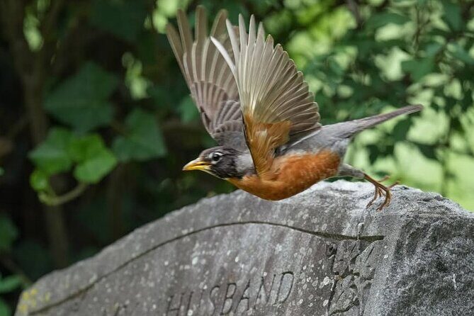 Hollywood Cemetery Hills and History - Key Points