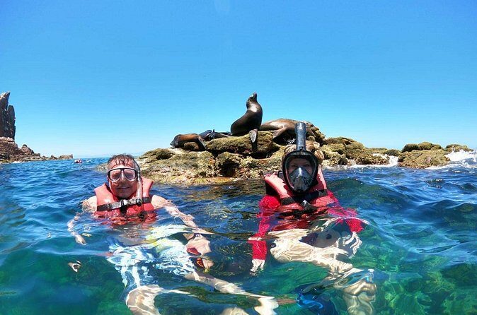 Holy Spirit Island Tour and snorkeling with sea lions - The Iconic Playa Candelero and Its Geological Marvel