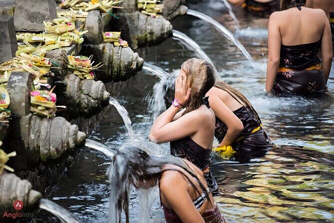 Holy water Temple Self-Purification & highlight Ubud Tour - Discover Bali’s Best in a Day: What to Expect