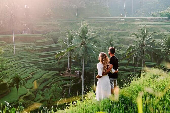 Holy water Temple Self-Purification & highlight Ubud Tour - Transportation & Guide Experience