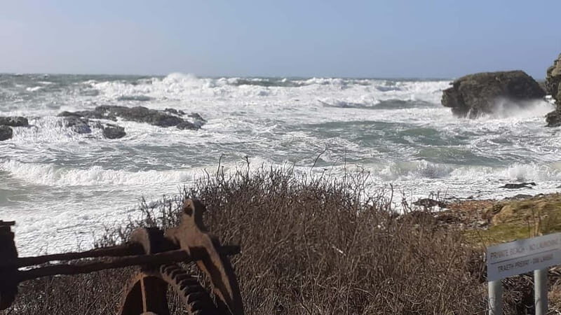 Holyhead: Holy Island Anglesey Coastal Hike - Introduction: What to Expect from the Holyhead Coastal Hike