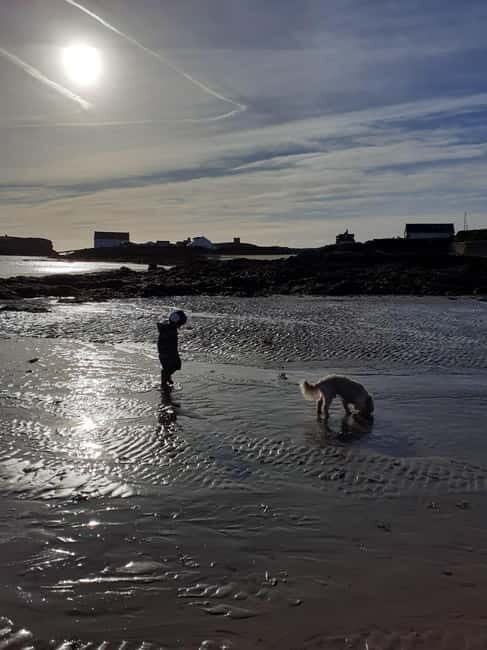 Holyhead: Holy Island Anglesey Coastal Hike - The Experience Provider and Practical Info