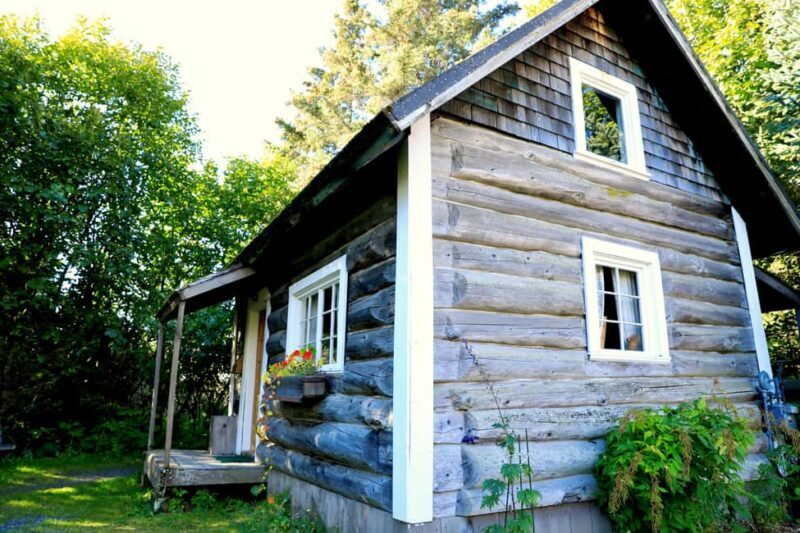 Homer: Pratt Museum Admission Ticket - Who Should Skip or Delay?