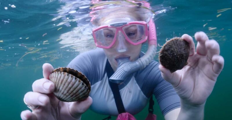 Homosassa: Snorkel & Scallop Hunt in Gulf of Mexico - A Detailed Look at the Homosassa Snorkel & Scallop Hunt