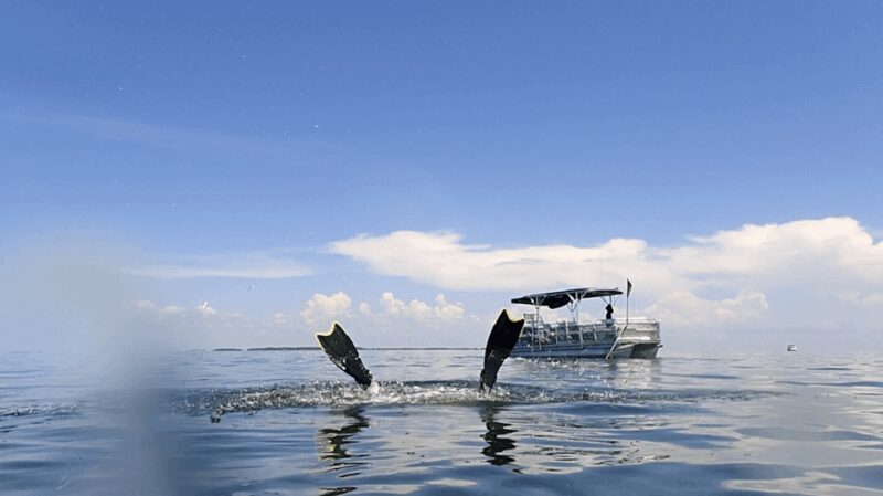Homosassa: Snorkel & Scallop Hunt in Gulf of Mexico - FAQ