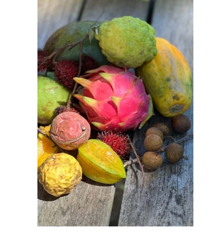 Honalo: Exotic Fruit Tasting Tour - Key Points
