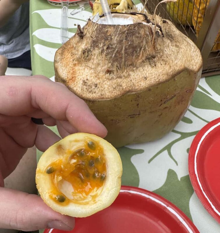 Honalo: Exotic Fruit Tasting Tour - A Closer Look at the Tour Experience