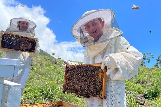 Honey Bee Adventure at the Maui Honey Bee Sanctuary - The Sum Up