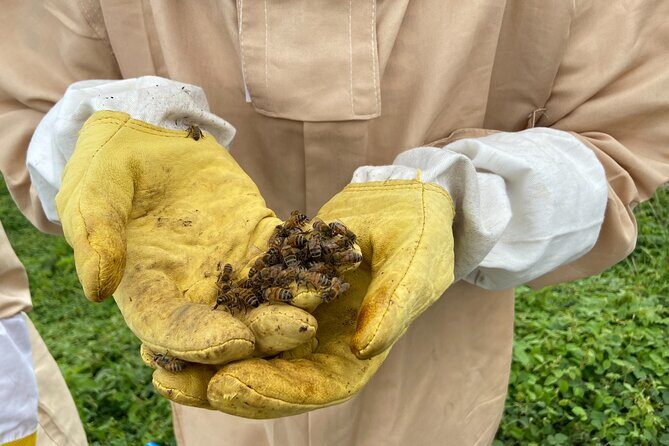 Honey Bee Adventure at the Maui Honey Bee Sanctuary - FAQs