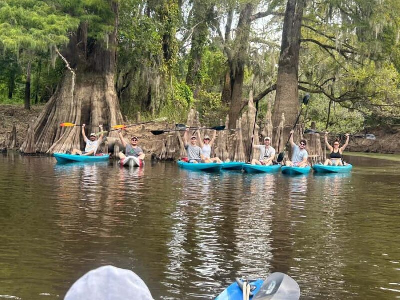 Honey Island Swamp Kayak Tour - The Value Proposition