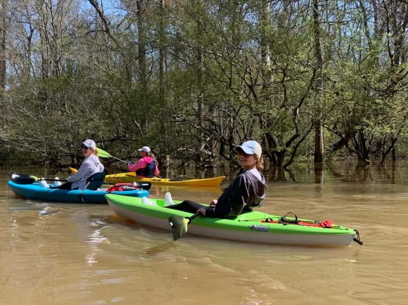 Honey Island Swamp Kayak Tour - Who Will Love This Tour?