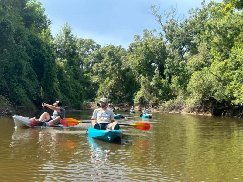 Honey Island Swamp Kayak Tour - The Sum Up
