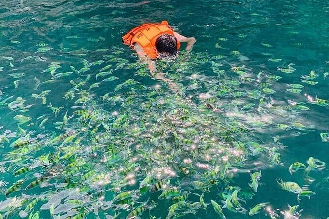 Hong island snorkeling tour from Koh Yao Noi & Koh Yao Yai - The Itinerary Breakdown: What to Expect
