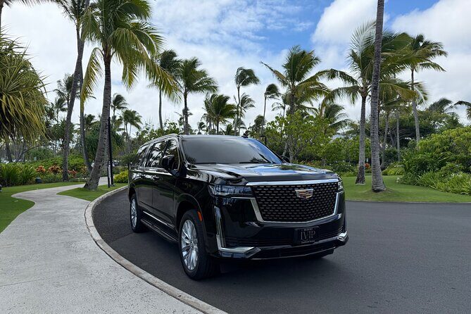 Honolulu Airport Transfer to Waikiki, Kahala & Cruise Ship Port - Why This Transfer Might Be the Best Choice for You