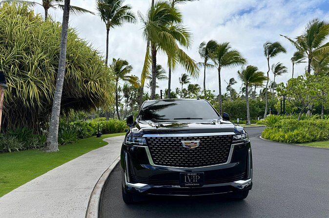 Honolulu Airport Transfer to Waikiki, Kahala & Cruise Ship Port - Final Thoughts