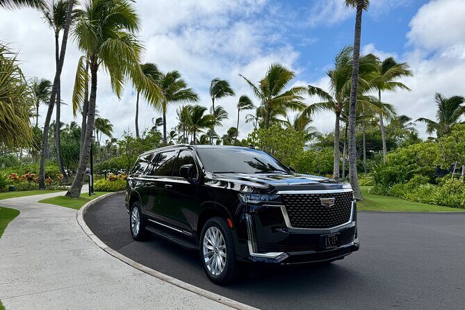 Honolulu Airport Transfer to Waikiki, Kahala & Cruise Ship Port - FAQ