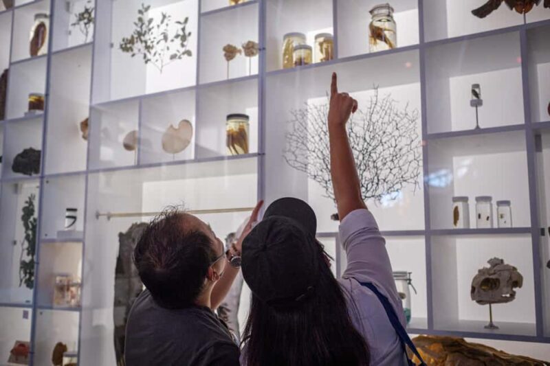 Honolulu: Bishop Museum General Admission Ticket - Final Thoughts: Is the Bishop Museum Worth Visiting?