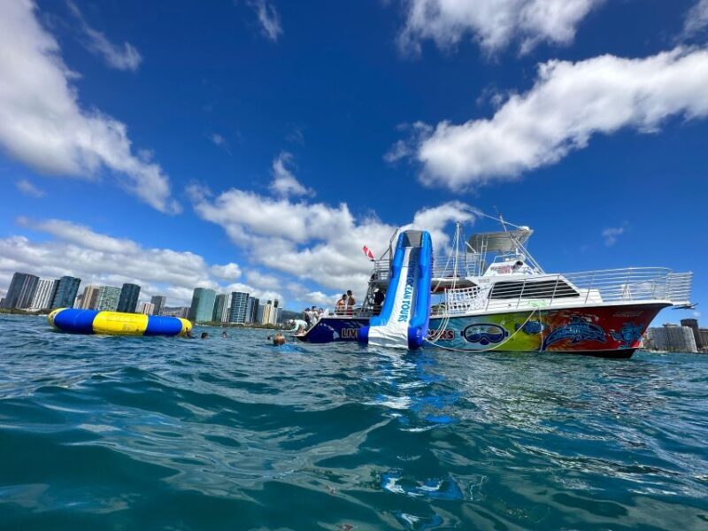 Honolulu: Deluxe Waikiki Snorkel and Wildlife Cruise - Key Points