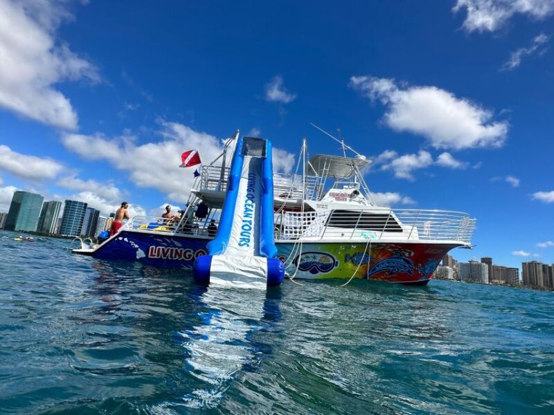 Honolulu: Deluxe Waikiki Snorkel and Wildlife Cruise - Why Travelers Love This Tour