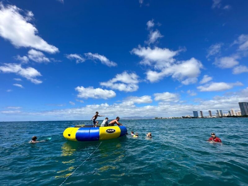 Honolulu: Deluxe Waikiki Snorkel and Wildlife Cruise - The Value Proposition